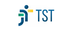 tst-300